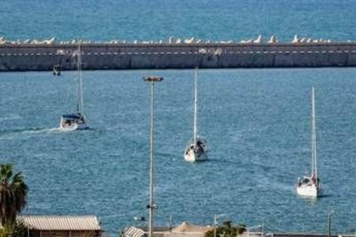 Flotilla, 46 italiani fermati da Israele. Dal carcere all'espulsione, cosa succede