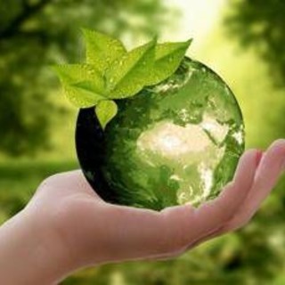 Storie di ambientalismo, al via Italia green film festival
