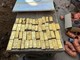 Che fine ha fatto il tesoro trovato in Belgio durante uno scavo: "C'erano monete e lingotti d'oro da 9 milioni di euro Che fine ha fatto il tesoro trovato in Belgio durante uno scavo: "C'erano monete e lingotti d'oro da 9 milioni di euro