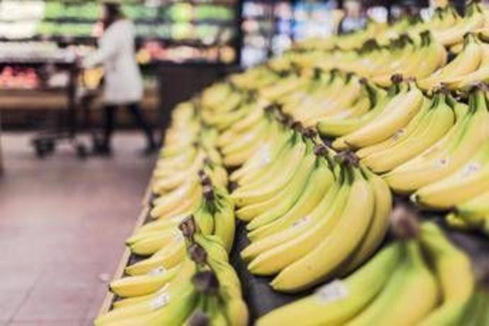Banana tra potassio e rischio glicemia, meglio acerba o matura? Cosa dice l'esperto