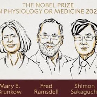 Nobel per la Medicina a Brunkow, Ramsdell e Sakaguchi per scoperte su sistema immunitario