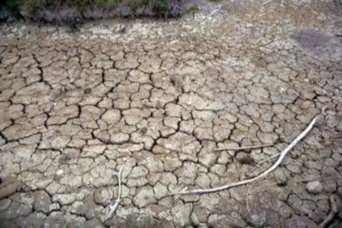 Clima, allarme Onu: "Terra in zona pericolo. El Niño sta assumendo proporzioni enormi" Clima, allarme Onu: "Terra in zona pericolo. El Niño sta assumendo proporzioni enormi"