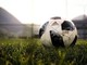 Calcio e sostenibilità, Lnd impianti e Myplant&amp;Garden rinnovano collaborazione