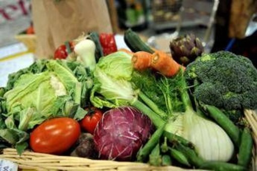 Microbioma alleato contro il mieloma: &quot;Dieta ricca di fibre può frenarlo&quot;