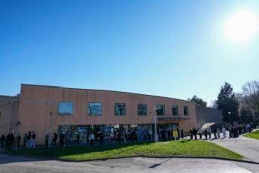 Meningite Uk, ipotesi esperti: "Ceppo MenB potrebbe essersi evoluto diventando più trasmissibile"