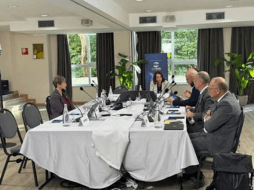 Tumori, Lazio, esperti: &quot;Per cancro prostata diagnosi precoce, innovazione e sostenibilità&quot;