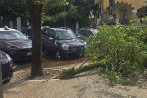 Maltempo a Roma, ramo cade fuori liceo a Coppedè: feriti 3 studenti Maltempo a Roma, ramo cade fuori liceo a Coppedè: feriti 3 studenti