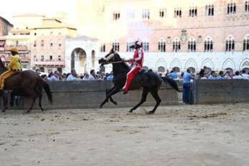 Palio Siena, la Contrada della Giraffa vince la terza prova