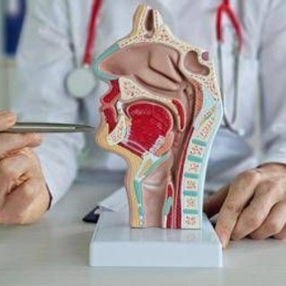 Carcinoma rinofaringeo, Ue approva tislelizumab più chemioterapia in prima linea