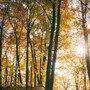 Il maltempo molla la presa, torna l'anticiclone e salgono le temperature: la tendenza dei prossimi giorni