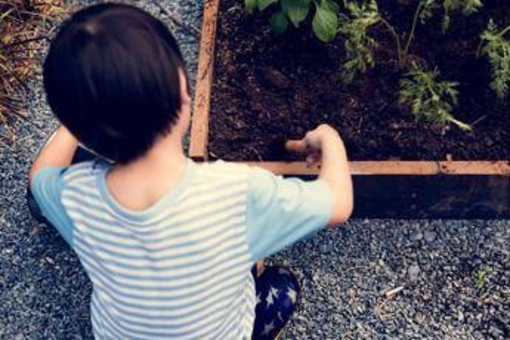 Autismo, ecco i 10 campanelli d'allarme per riconoscerlo
