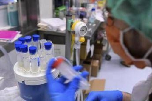 Mieloma multiplo recidivante, Ue approva nuove combinazioni belantamab mafodotin