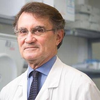 Italiana guarita dopo Lourdes, il neurologo: &quot;Esperienza al limite dell'impossibile&quot;