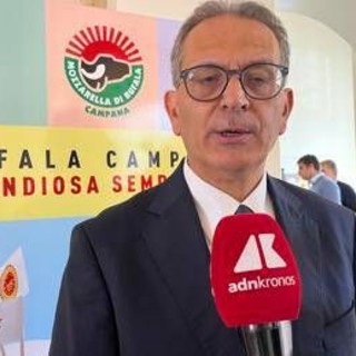 Made in Italy, Arcadia: &quot;Il gusto della mozzarella di bufala Campana Dop conquista web, 37 milioni utenti in 2 anni&quot;