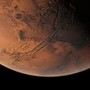 Tutti i segreti nella dieta degli astronauti, un'alga dalla Sardegna per conquistare Marte