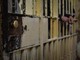 &quot;Sei il preferito di nonno&quot;, aggredisce il fratello 14enne con una forchetta e viene arrestato