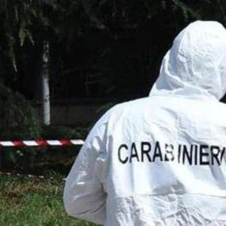 Pavia, moglie e marito trovati morti in casa: ipotesi omicidio-suicidio