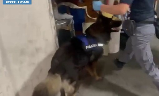 Arrestato spacciatore catanese con 4,5 kg di droga nascosta in garage