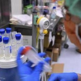 Mieloma multiplo recidivante, Ue approva nuove combinazioni belantamab mafodotin