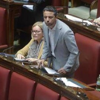 Giornata emofilia, Furfaro (Pd): &quot;Più attenzione istituzioni per donne con Mec&quot;