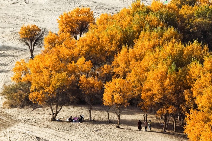 Cina, nello Xinjiang produzione di petrolio greggio supera 1,7 mln di tonnellate Cina, nello Xinjiang produzione di petrolio greggio supera 1,7 mln di tonnellate