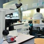 Ricerca, in Italia nel 2024 autorizzati 669 studi clinici: "Serve nuovo modello per ridefinire valore dati sanitari"