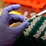 Tumori, Fondazione Aiom: &quot;Oltre 1,2 mln di italiani ad alto rischio forme ereditarie&quot;
