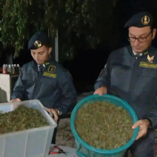 Scoperta “fabbrica della droga” a Napoli, sequestrata una tonnellata di cannabis