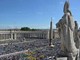 Papa Francesco, folla per la messa in suffragio a San Pietro: &quot;Senso di smarrimento&quot;
