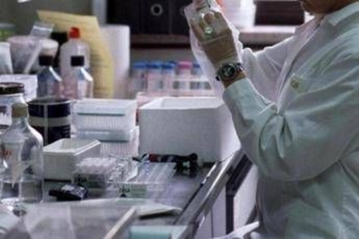 Ricerca, Gasbarrini (Cattolica): &quot;Urge un sistema più agile e formazione dedicata&quot;
