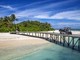 Tragedia alle Maldive, morti 5 italiani: chi sono le vittime Tragedia alle Maldive, morti 5 italiani: chi sono le vittime