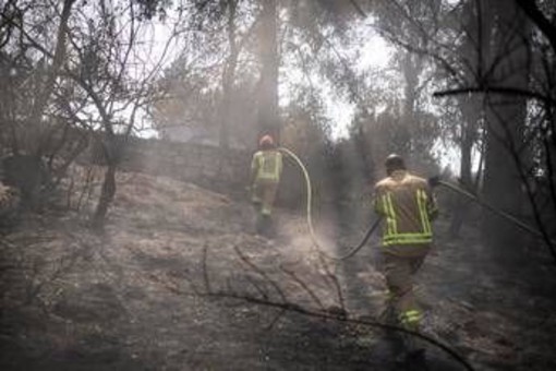 Israele ancora in fiamme, Netanyahu: &quot;18 arresti per sospetto incendio doloso&quot;