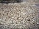 Clima, allarme Onu: "Terra in zona pericolo. El Niño sta assumendo proporzioni enormi"