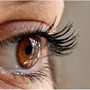 Glaucoma pseudoesfoliativo, oculista: "Con chirurgia si può salvare la vista" Glaucoma pseudoesfoliativo, oculista: "Con chirurgia si può salvare la vista"