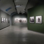 Alle Gallerie d’Italia di Torino la mostra “Nick Brandt”