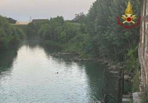 Verona, 15enne si tuffa e annega nel torrente Guà: corpo ripescato dopo quattro ore Verona, 15enne si tuffa e annega nel torrente Guà: corpo ripescato dopo quattro ore
