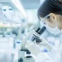 Resistenza a farmaci in cancro rene e fegato, studio apre nuove vie Resistenza a farmaci in cancro rene e fegato, studio apre nuove vie