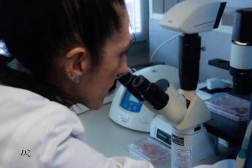 Malattie rare, scoperta nuova patologia genetica nei bimbi