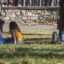 Caldo, tregua dall'afa in tutta Italia: ma quanto dura questa pausa?