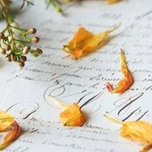 Lettera d'addio all'Elba... di 29 anni fa: "Non ci vedremo più amica mia"