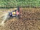 Hendron, Wild Bioscience: "Con nuove tecniche genomiche svolta storica per l’agricoltura europea" Hendron, Wild Bioscience: "Con nuove tecniche genomiche svolta storica per l’agricoltura europea"