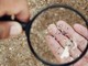 Microplastiche e salute della donna, Fondazione Sigo avvia percorso informativo Microplastiche e salute della donna, Fondazione Sigo avvia percorso informativo
