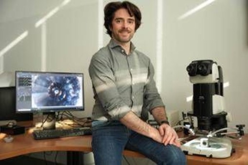 Milano-Bicocca, Erc Consolidator Grant da 3 mln per studiare ruolo zolfo in evoluzione Terra