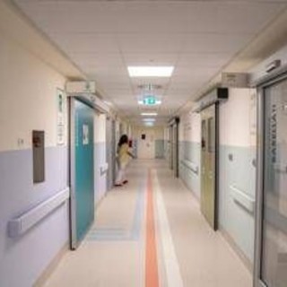Fungo killer negli ospedali europei, l'alert Ecdc: Italia fra Paesi più colpiti