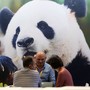 Cina, in aumento dell’11,3% i ricavi dell’industria pubblicitaria Cina, in aumento dell’11,3% i ricavi dell’industria pubblicitaria