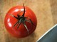 Rischio salmonella a Bari, Asl vieta pomodori freschi in mense nidi, scuole e Rsa