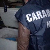Macellazione clandestina a Salerno, sequestrati 6 quintali di carni Macellazione clandestina a Salerno, sequestrati 6 quintali di carni