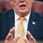 Trump: "L'erba è come gli esseri umani, ha una vita" Trump: "L'erba è come gli esseri umani, ha una vita"