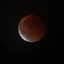 Luna di sangue, oggi l'eclissi totale: cos'è e quando vederla Luna di sangue, oggi l'eclissi totale: cos'è e quando vederla