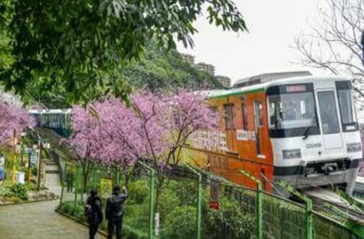 Tragedia in Cina: operai al lavoro travolti da un treno, 11 morti